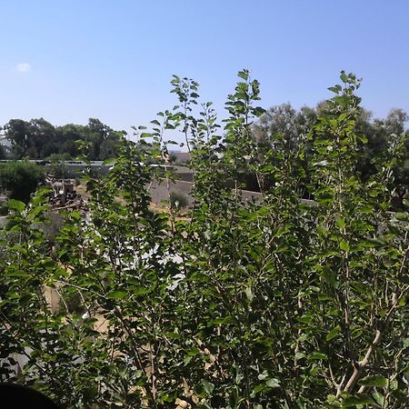 L'Hirondelle De Kelibia : Chez Amou Otel Oda fotoğraf