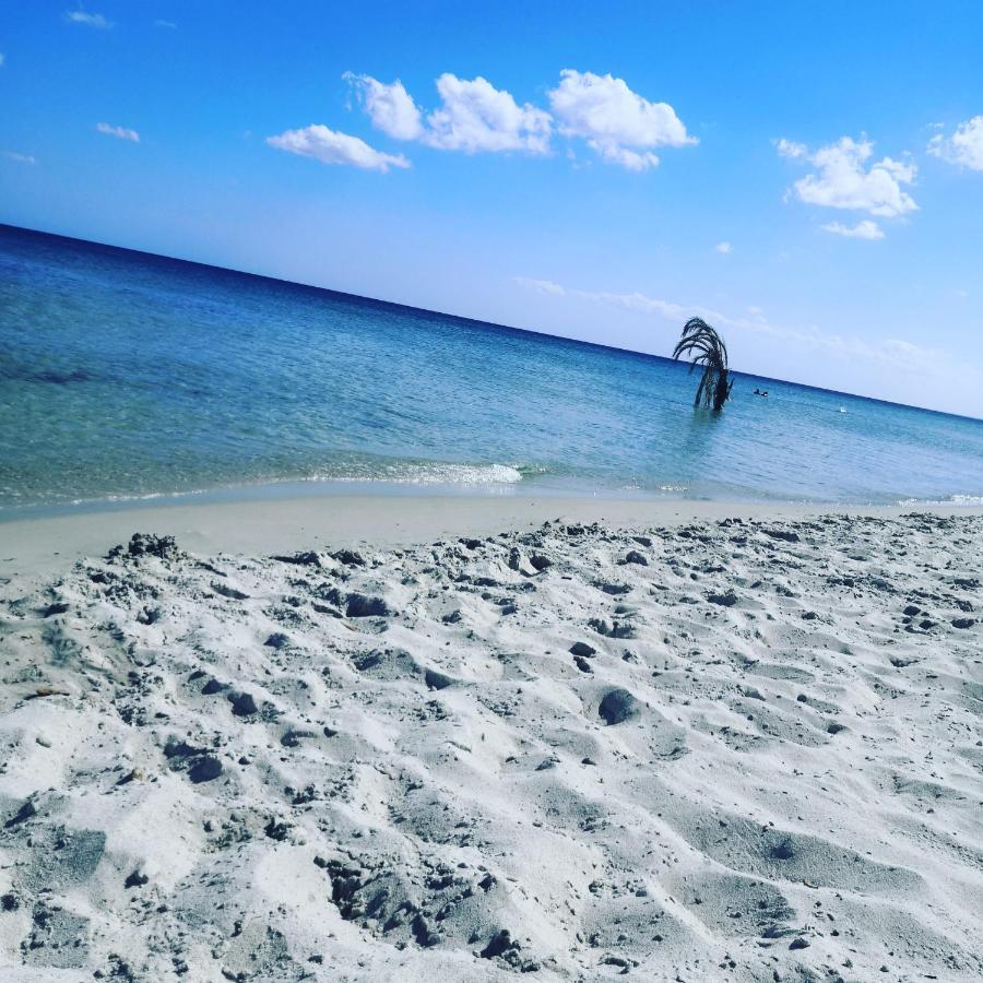 L'Hirondelle De Kelibia : Chez Amou Otel Dış mekan fotoğraf