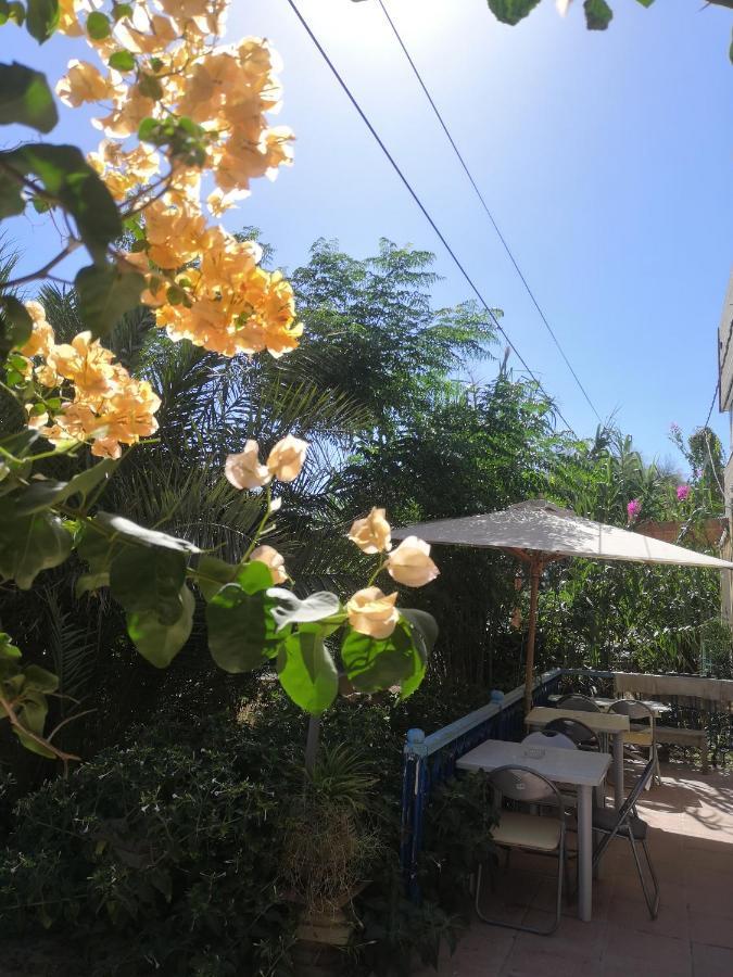 L'Hirondelle De Kelibia : Chez Amou Otel Dış mekan fotoğraf