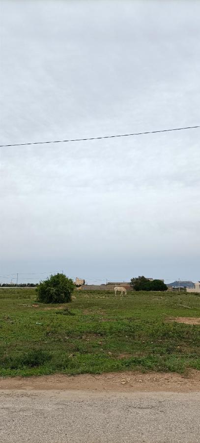 L'Hirondelle De Kelibia : Chez Amou Otel Dış mekan fotoğraf