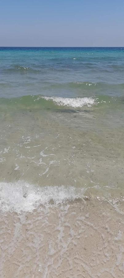 L'Hirondelle De Kelibia : Chez Amou Otel Dış mekan fotoğraf