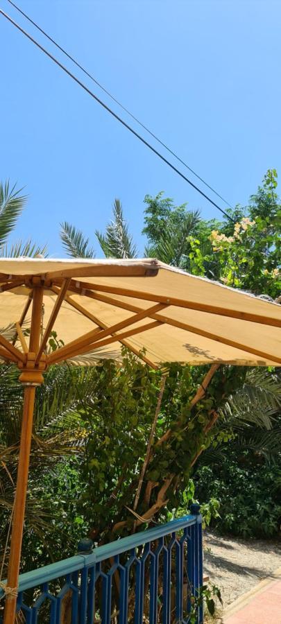 L'Hirondelle De Kelibia : Chez Amou Otel Dış mekan fotoğraf