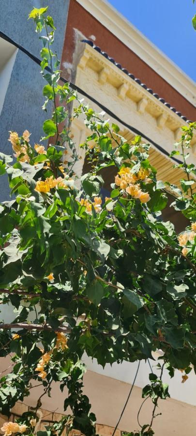L'Hirondelle De Kelibia : Chez Amou Otel Dış mekan fotoğraf